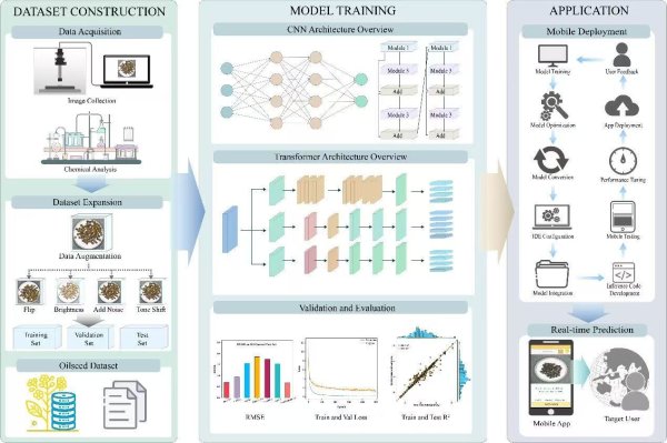 配资门户官方平台 10秒内搞定！油菜籽品质“拍照即测”技术诞生