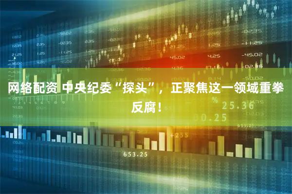 网络配资 中央纪委“探头”，正聚焦这一领域重拳反腐！